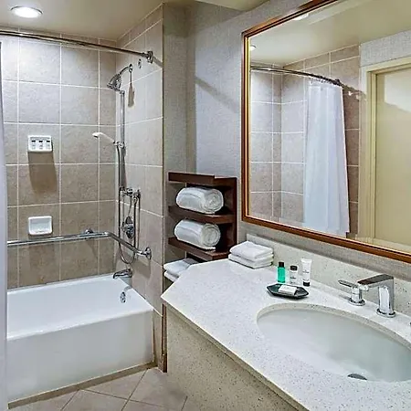 Hotel Sheraton Music Airport