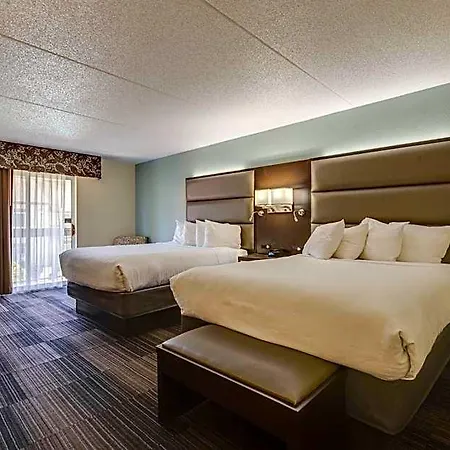Hotel Club &