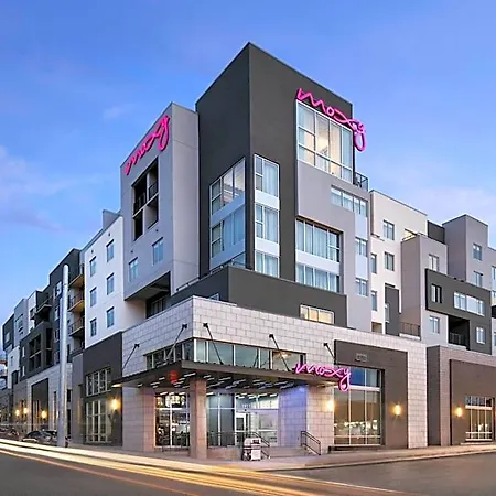 Moxy Vanderbilt Area