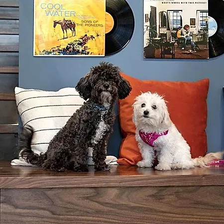 Moxy Vanderbilt Area 3* Nashville