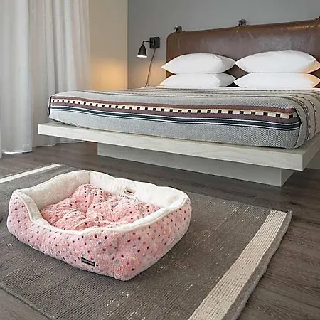Moxy Vanderbilt Area 3*