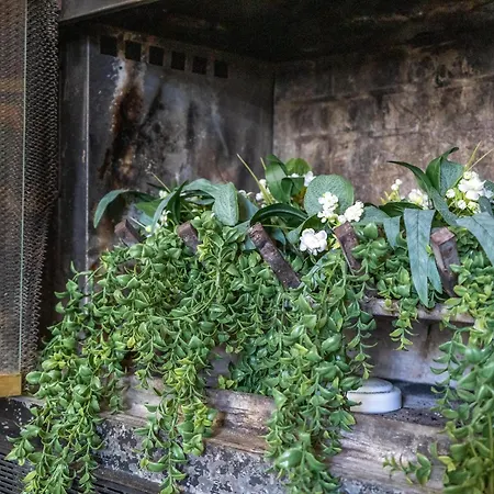 The Magic Cottage- Artsy Escape With Hot Tub & Charm *