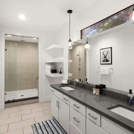 2 Units Sleeps 24 Nashville's Location Nashville