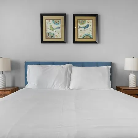 Apartment Stylish 2br Near Sylvan Park- Music Views