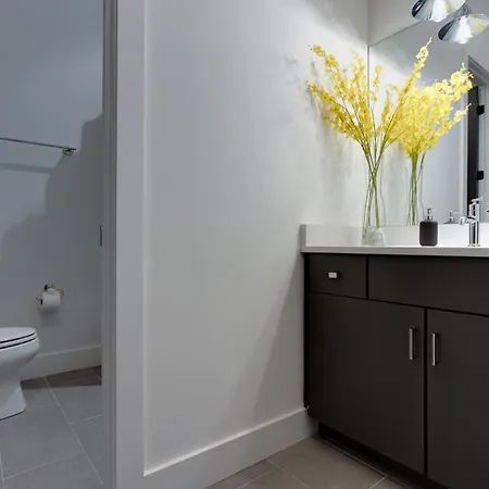 Twin Townhomes - 8br Sleeps 24 Near Dt Holiday home Nashville