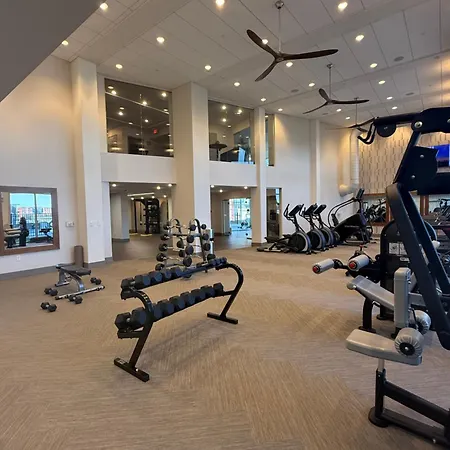 The Amazon Pool Gym Parking Games Apartment *