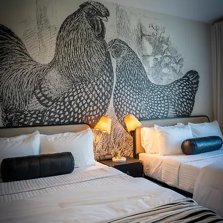 Bourbon And Beyond - Luxury Living - New, 6 Beds Apartment
