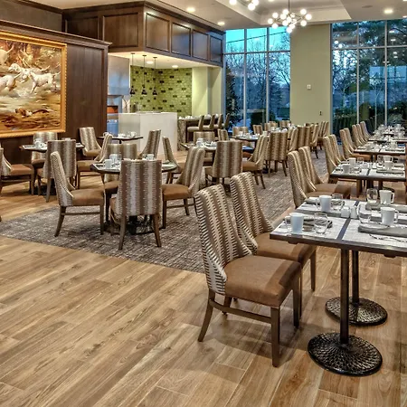 Hilton Hills 4*