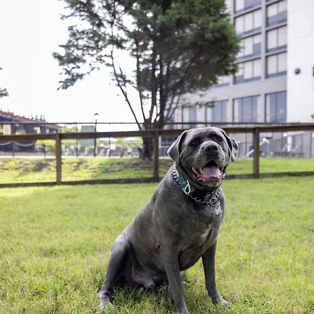 Delta By Marriott Airport 3* Nashville