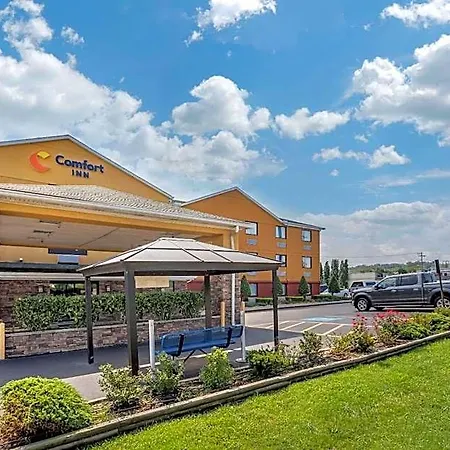 Inn Comfort West 4*
