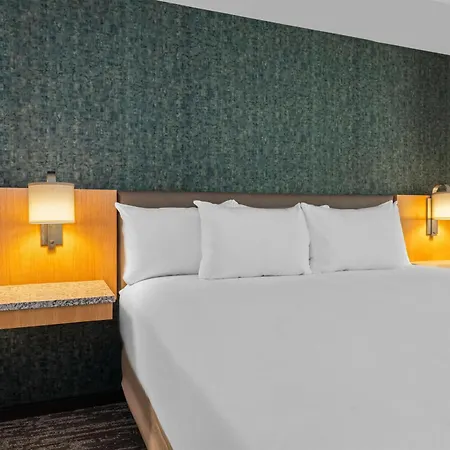 Drury Plaza Southeast Century Farms 3* Nashville