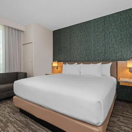 Drury Plaza Southeast Century Farms Hotel 3*