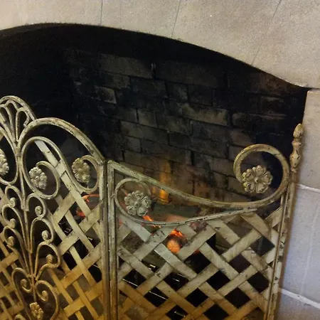 Daisy Hill
