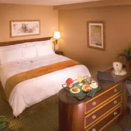 Hotel Radisson Airport 4*