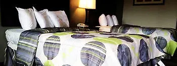 Motel Lotus And