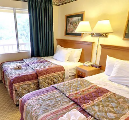 Red Lion & Airport Hotel 2*