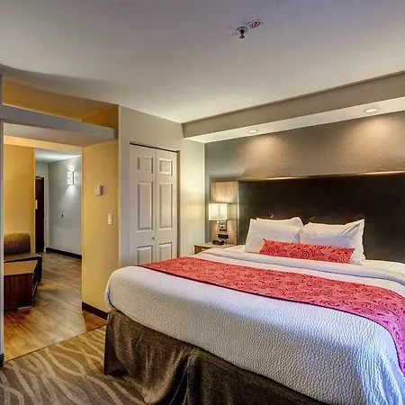 Western Airport - Bna Hotel 3*