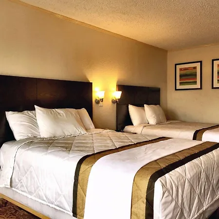 Knights - Downtown Hotel