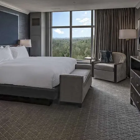 Hotel Hilton Hills