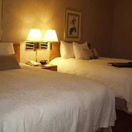 Hampton & Nashville-downtown 3*