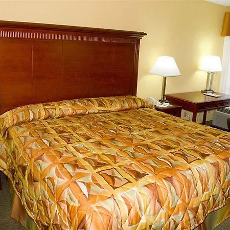 Hotel Alexis And
