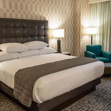 Hotel Drury Plaza Downtown 4*