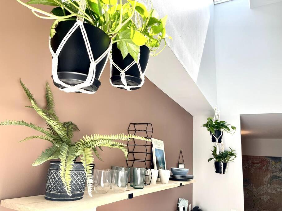 City Skyline Views In A Great Neighborhood Apartment