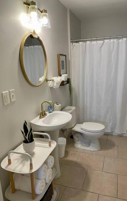 Apartment Everything You Could Ask For In A