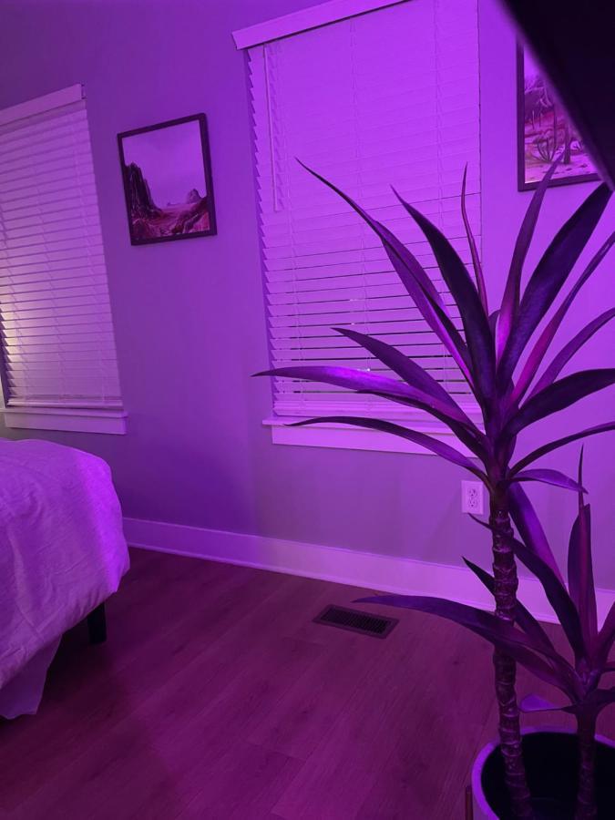Classy, Cozy, Close To Downtown Apartment