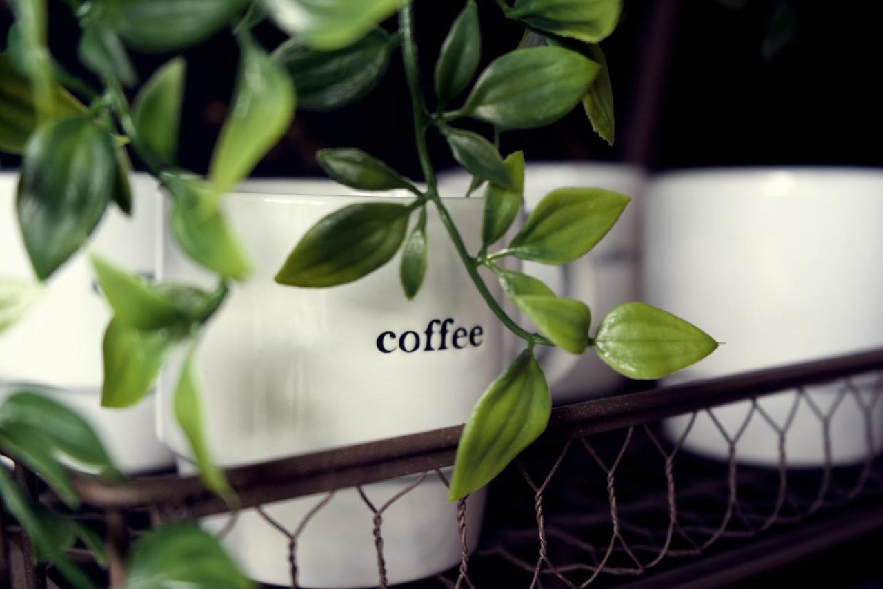 Quiet, And Cozy, Minutes From Attractions And Experiences! Apartment Nashville