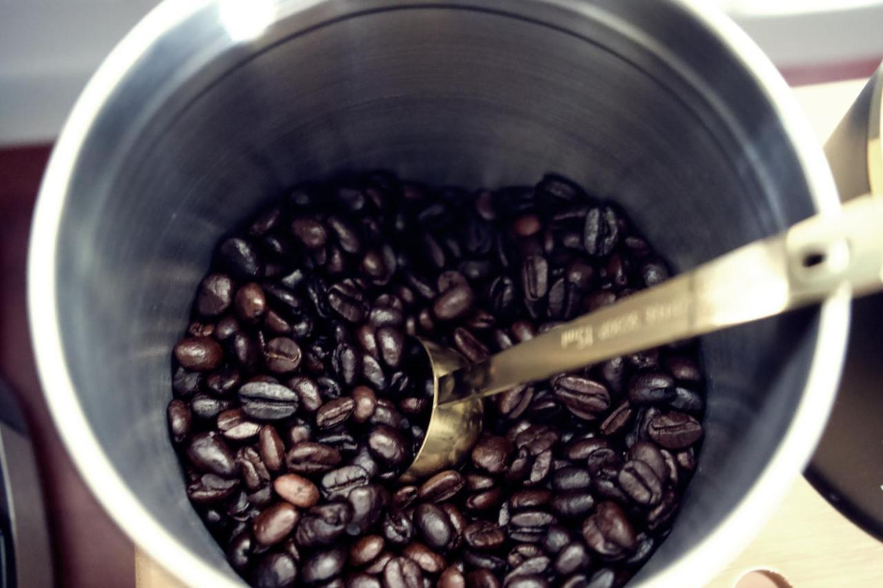 Quiet, And Cozy, Minutes From Attractions And Experiences! Apartment *