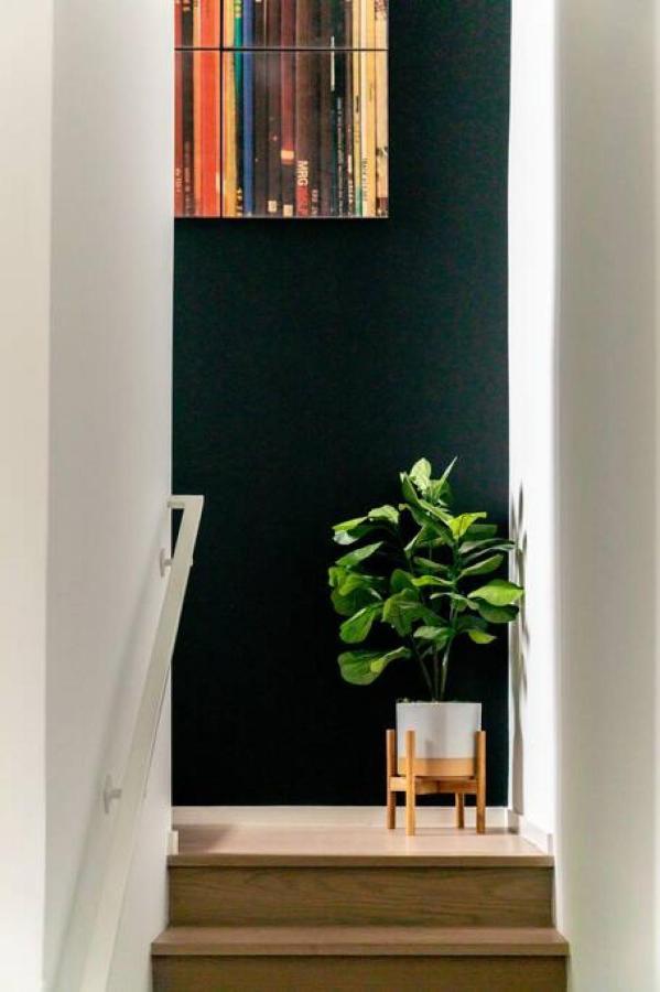 Stunning River View Walk To Downtown Rooftop Patio Apartment