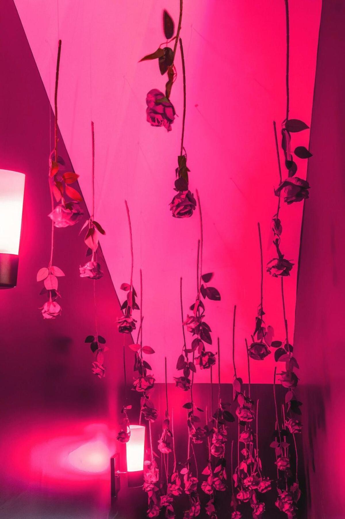 New Luxe Roofdeck 13 Beds Holiday home