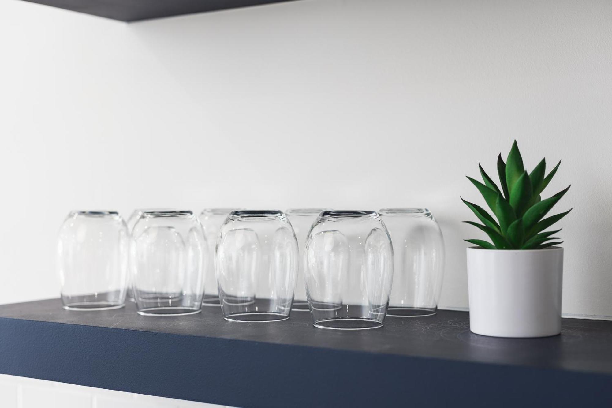 Apartment Tranquil Haven Close To Broadway With Free Parking Nashville