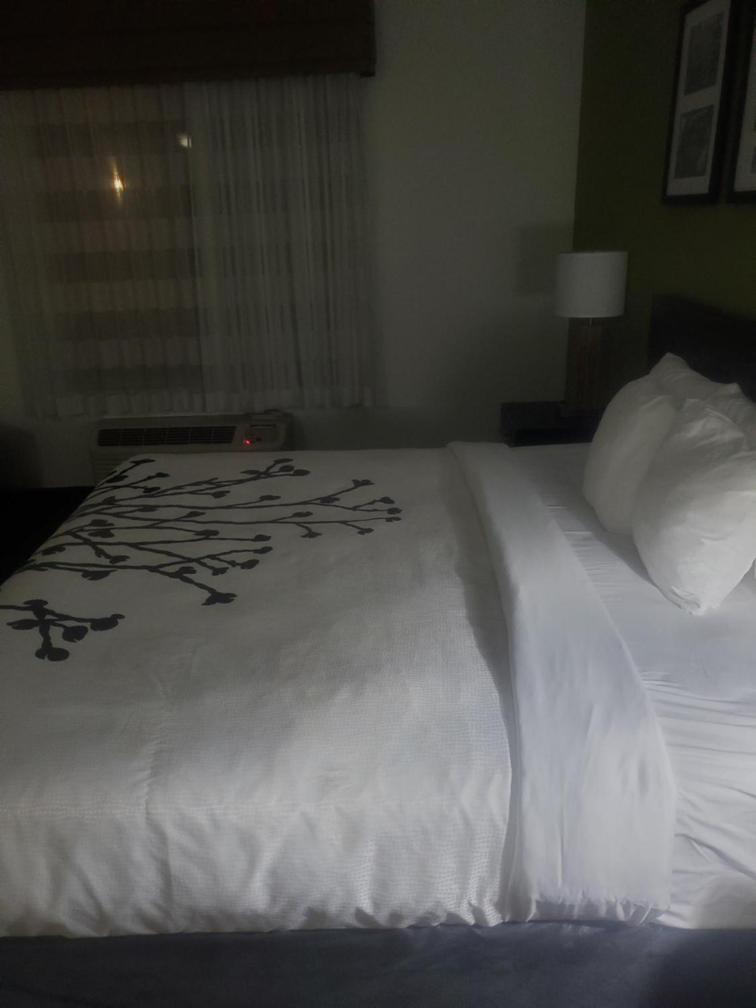 Bed & Breakfast O Daddys *