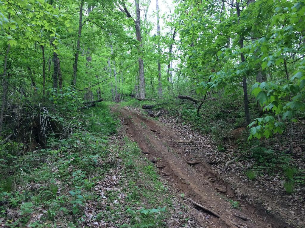 Brenda Lee History 2br Pool Hot Tub Apartment Nashville