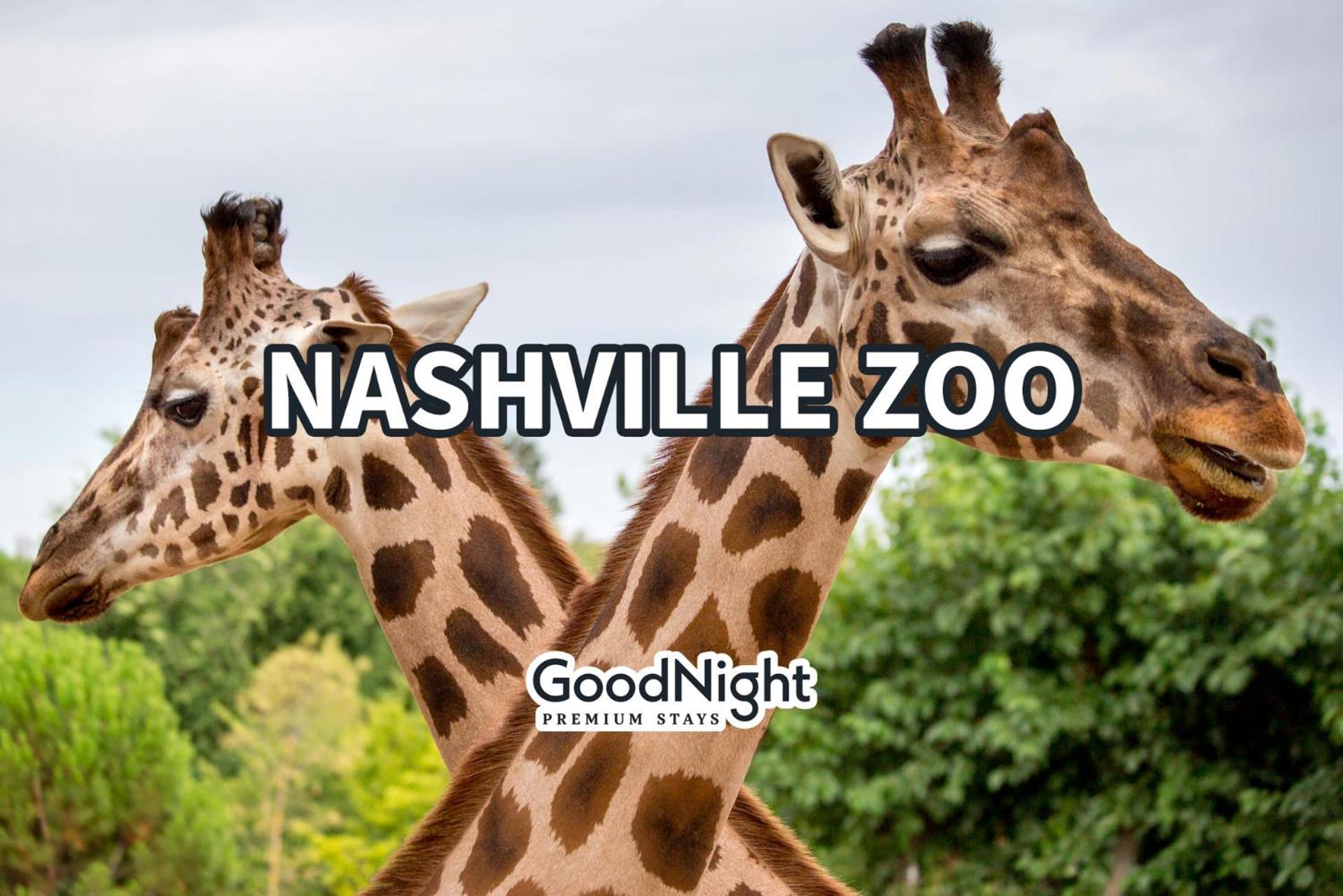 Lookout Nash - Rooftop W/ Skyline Views Holiday home *
