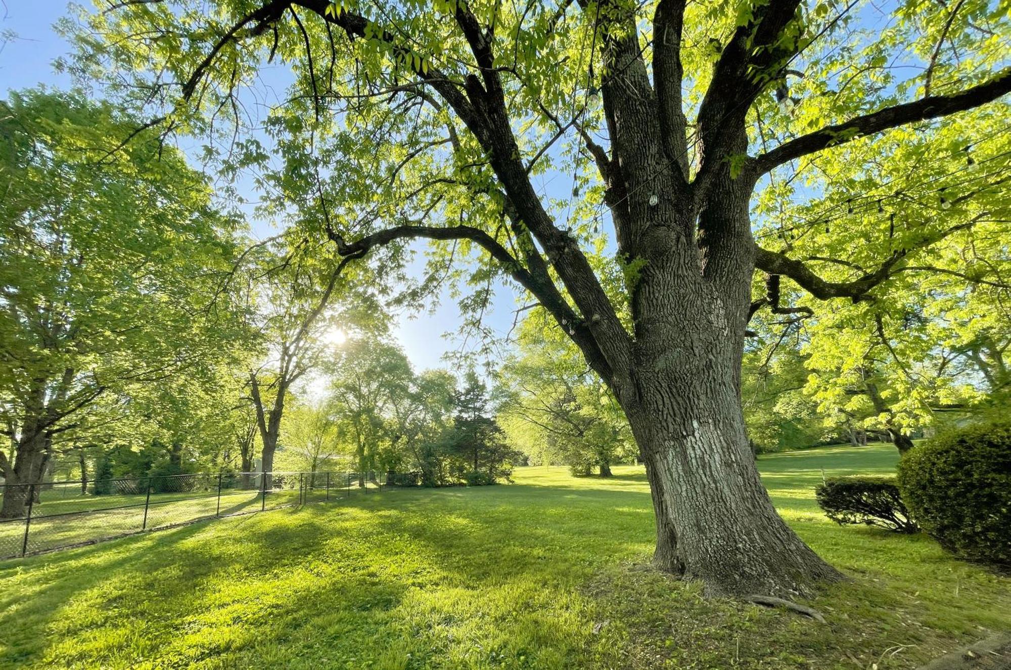 Gather And 10 Min From Downtown