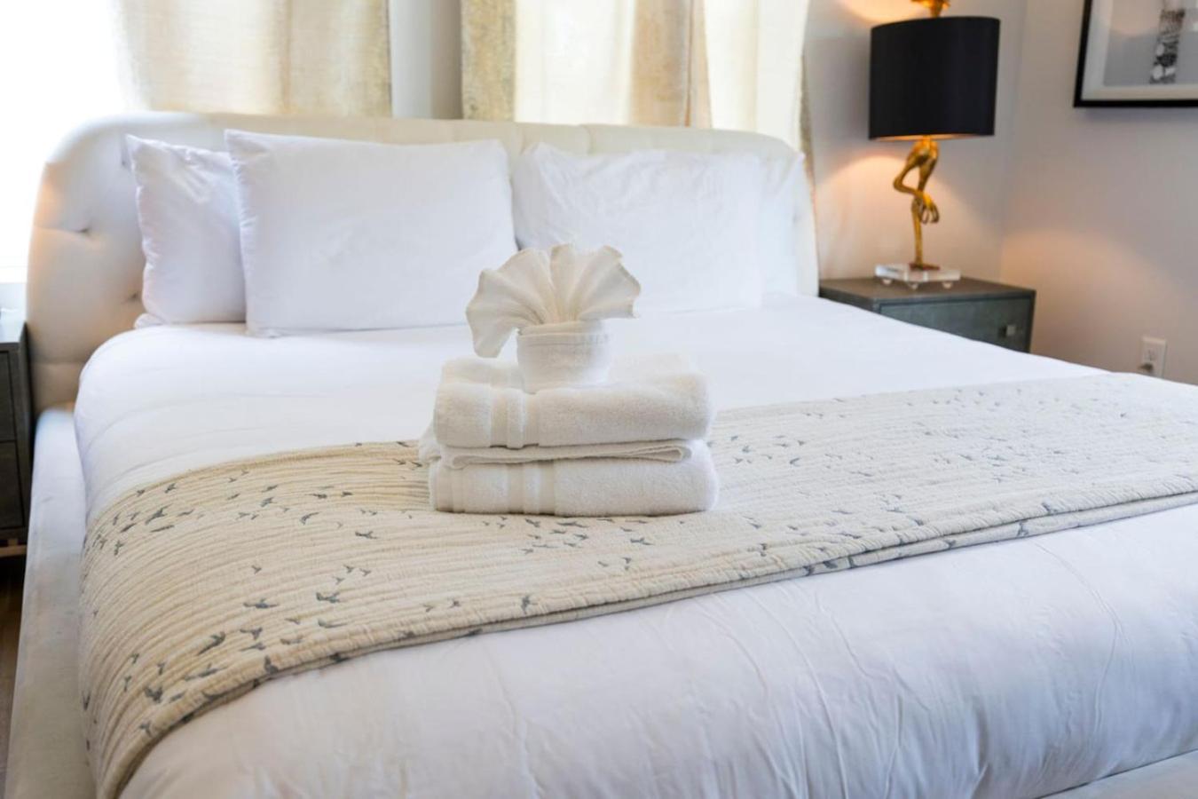 Luxury Double Townhomes With Two Huge Sky Rooftops