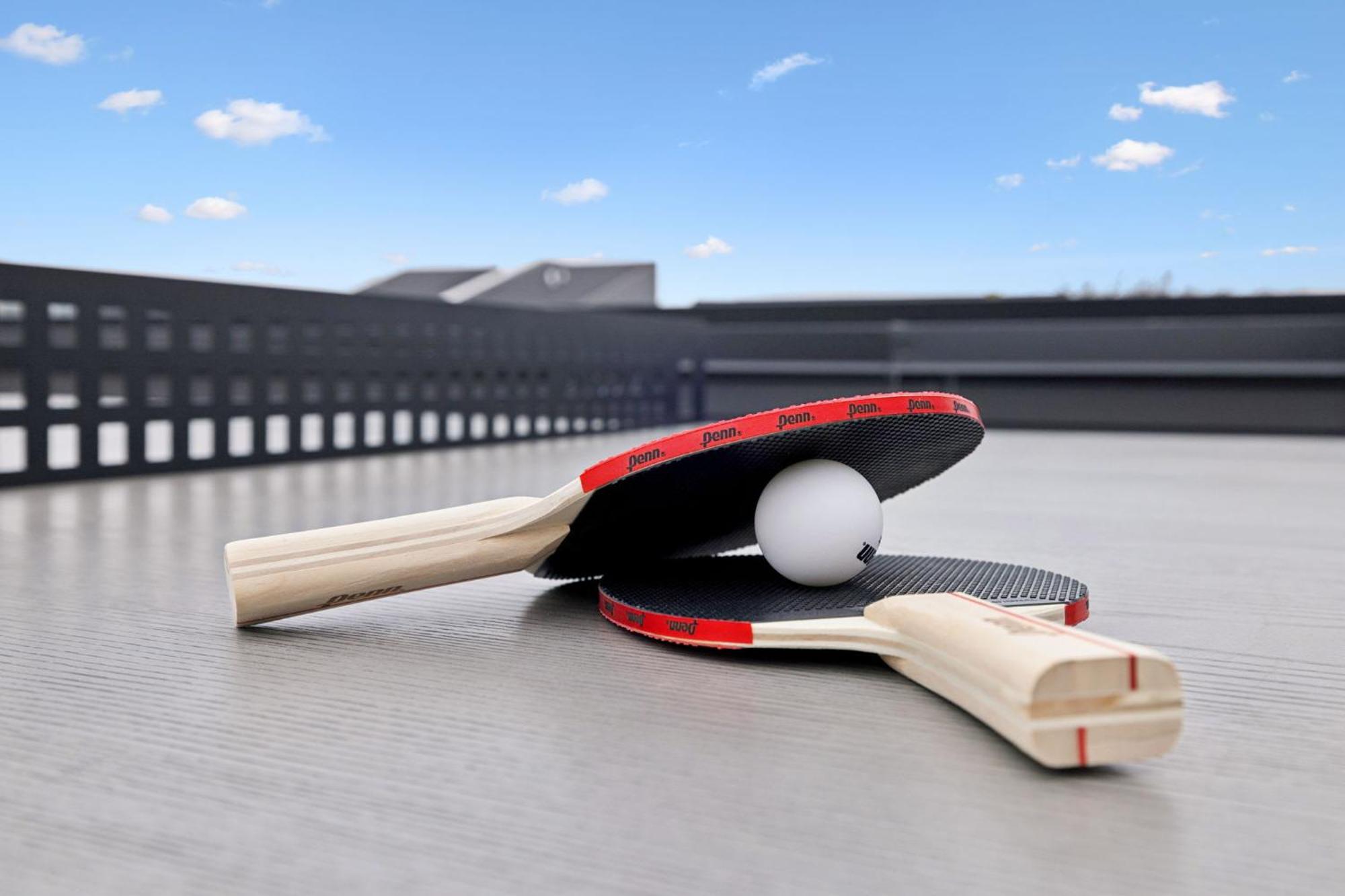 Sleek Multi-level Rooftop Views & Pool Table * Nashville