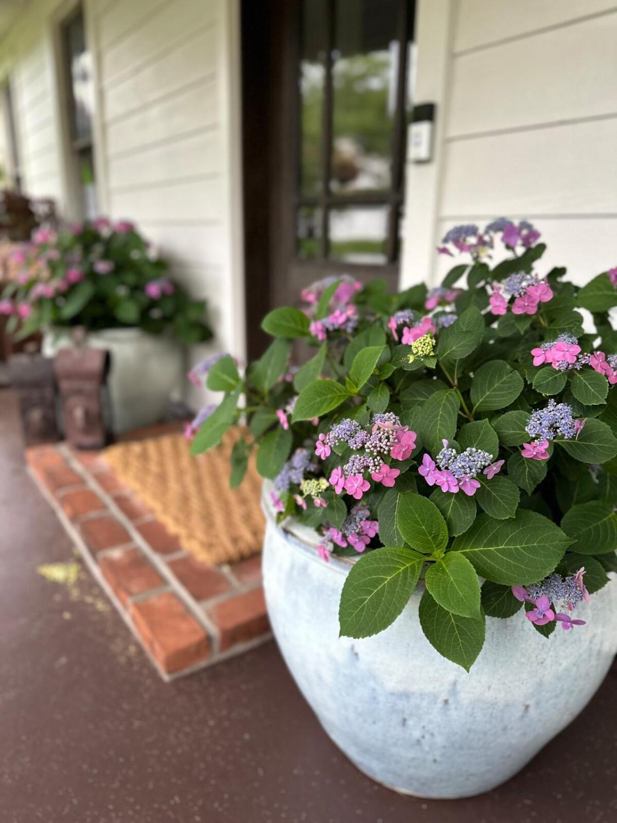 Holiday home Stylish Renovated Craftsman With Pool And Garden Escape