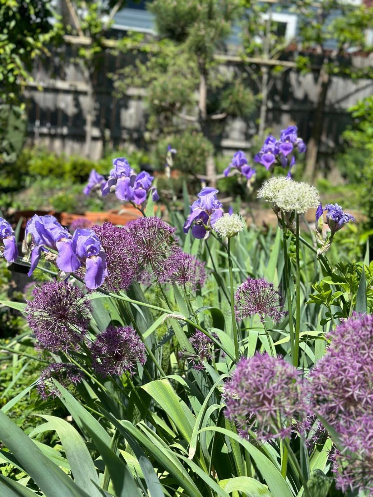 Stylish Renovated Craftsman With Pool And Garden Escape Nashville