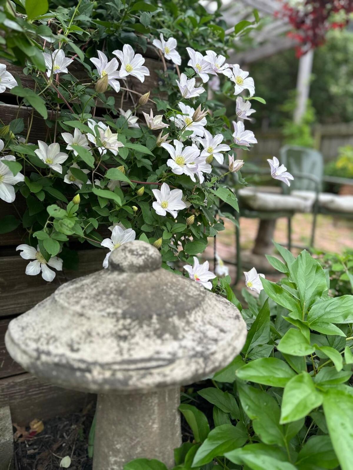 Holiday home Stylish Renovated Craftsman With Pool And Garden Escape Nashville