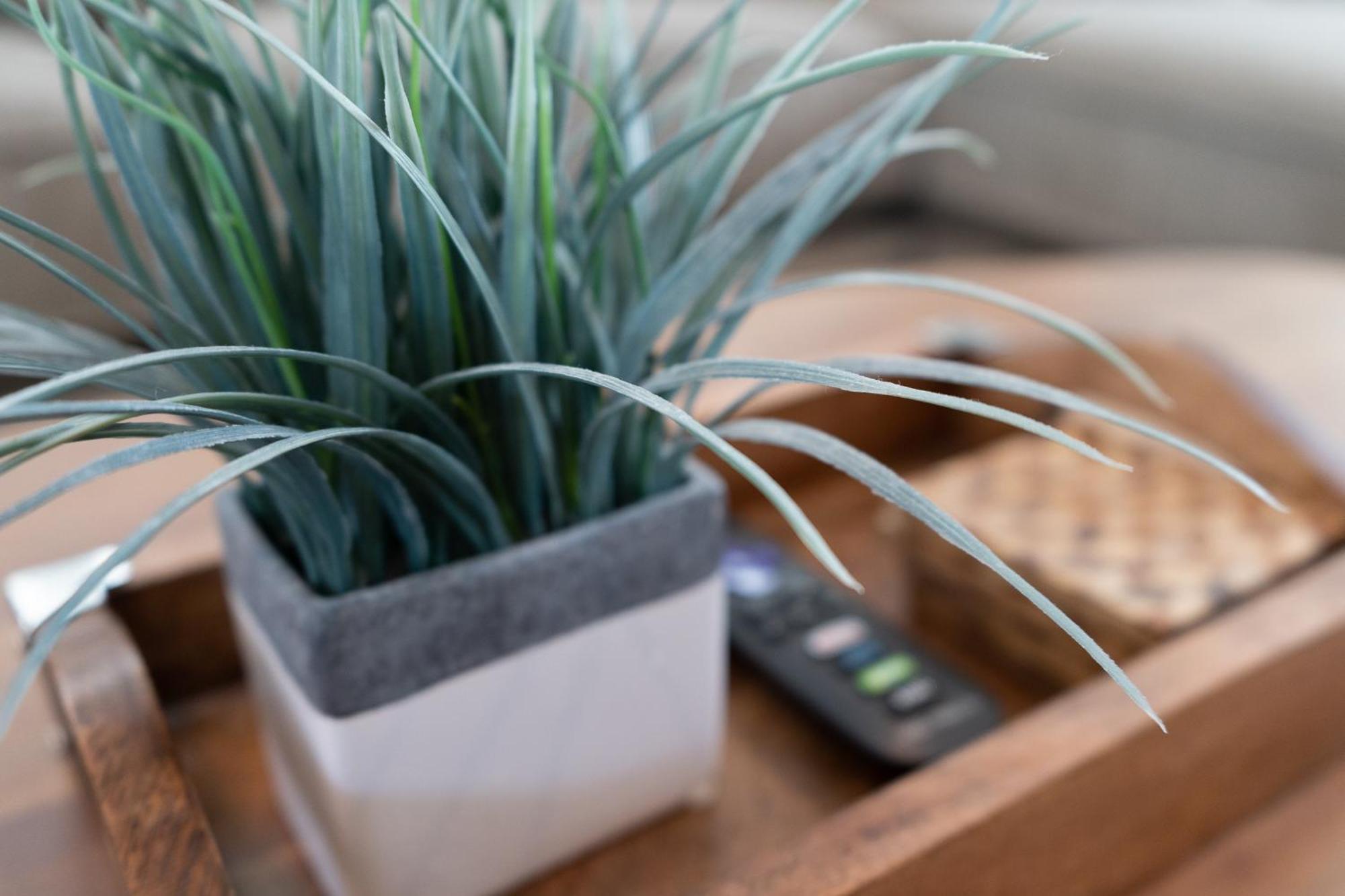 The Martin By Local * Nashville