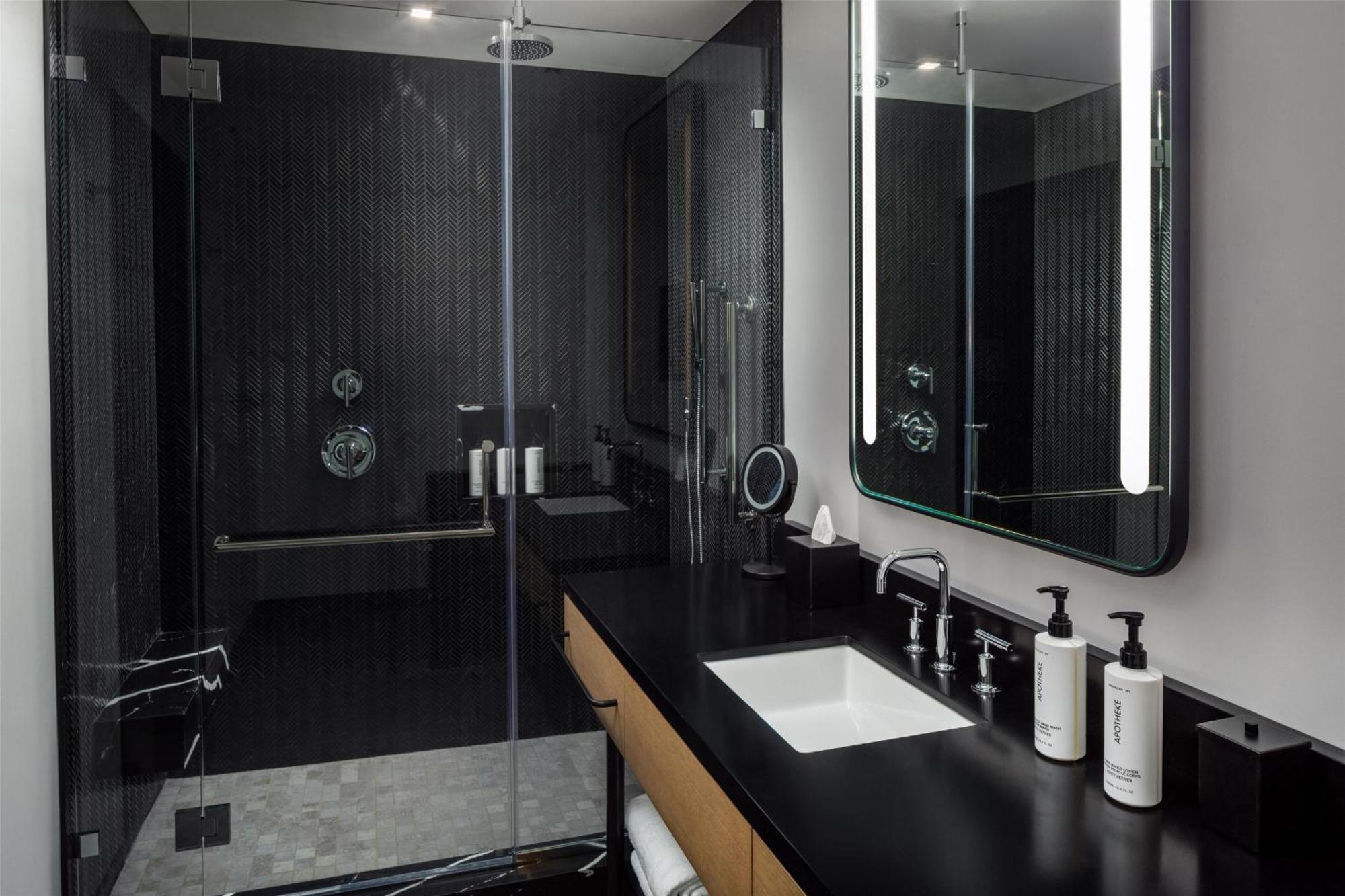 Hotel Canopy By Hilton Downtown The Gulch 4*