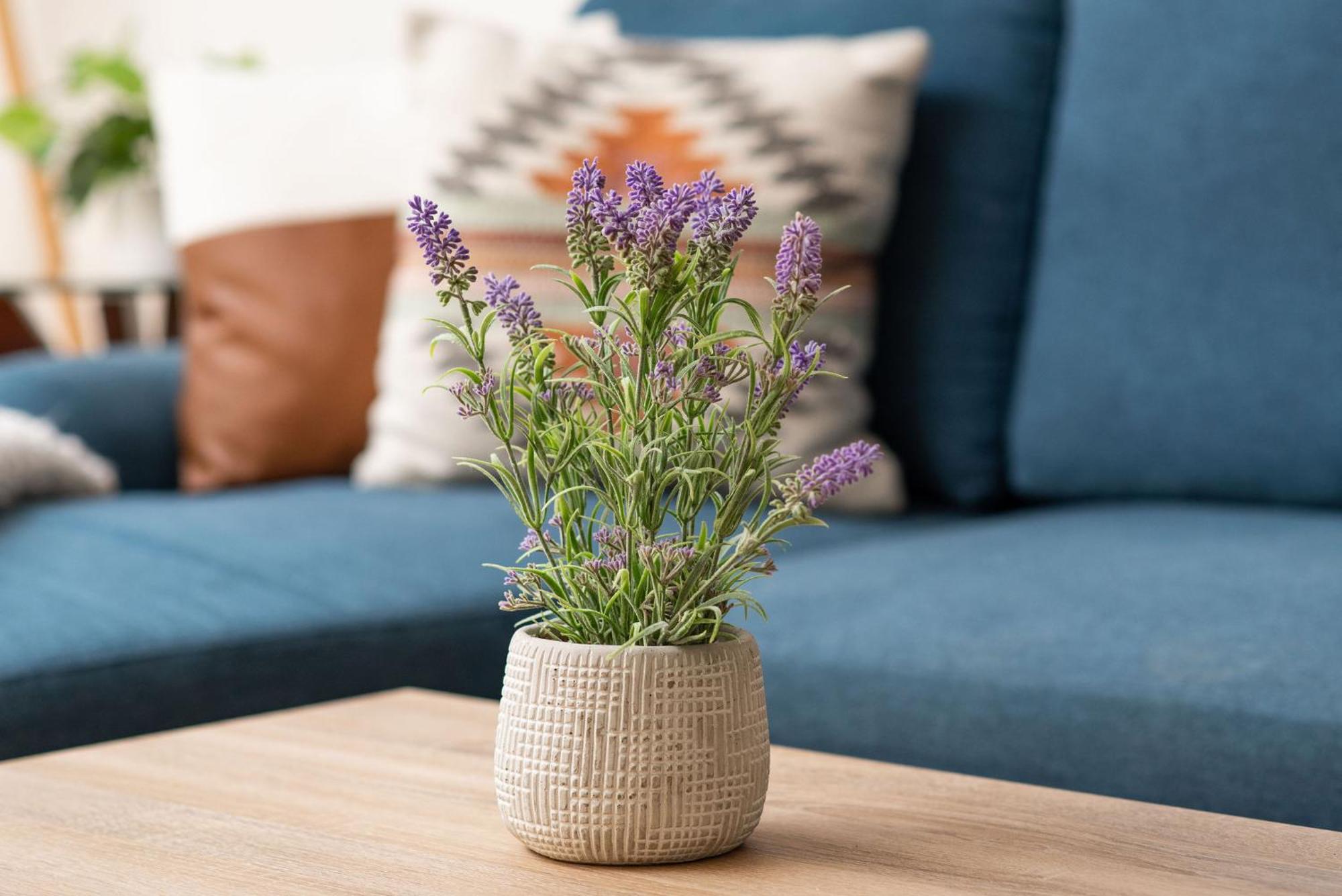 Dollys Dreamhouse, Mean Girls Retreat Unit 8 *