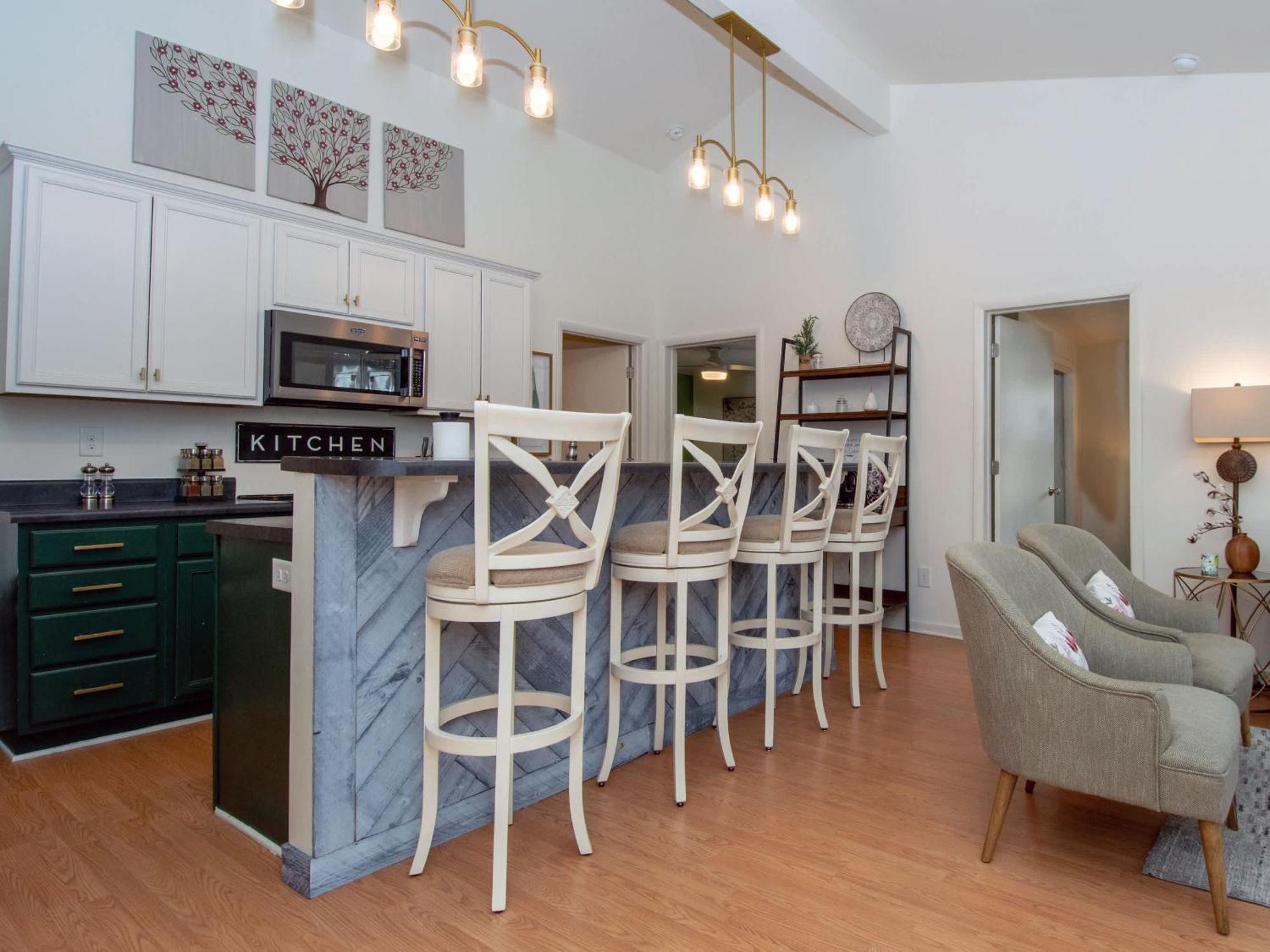 Pet Friendly - Near Dt Nash & Music Row Holiday home Nashville