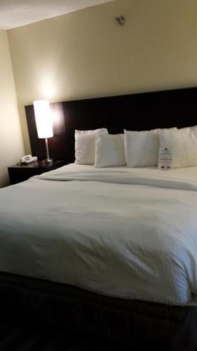 Hotel Western Near Opryland
