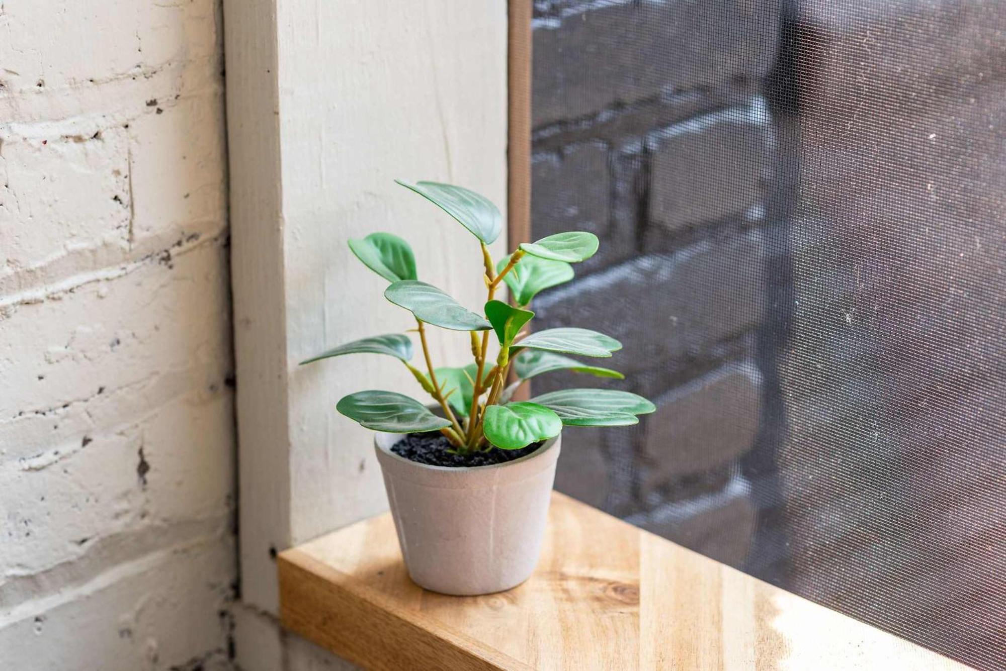 Dolly Johnny Willie Inspired 5 Min From Nashville