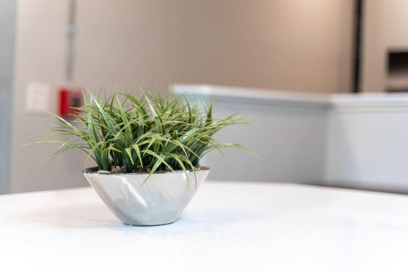 Modern Getaway Near Vandy Nashville